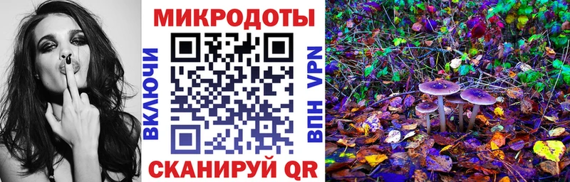 hydra ONION  Павловск  Псилоцибиновые грибы Psilocybine cubensis 